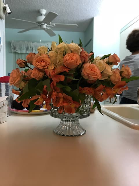 image1 (1).jpeg